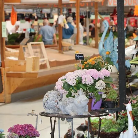 Charmant En Hyper Centre De Avec 2 Et Wi-fi - Fr-1-722-4 Apartmán Colmar