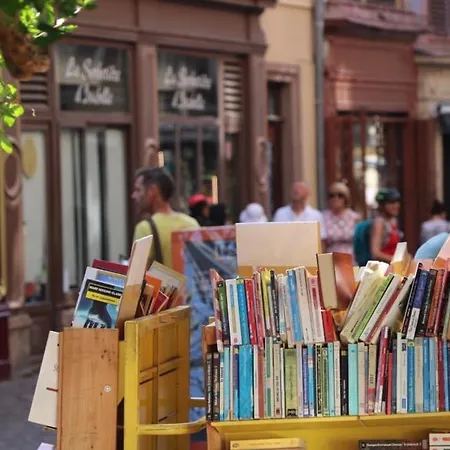 Charmant En Hyper Centre De Avec 2 Et Wi-fi - Fr-1-722-4 Apartmán *